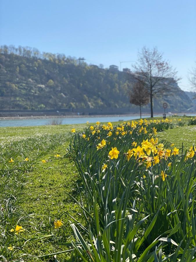 Kusch'Lige Kleine Wohnung Koblenz  Bagian luar foto